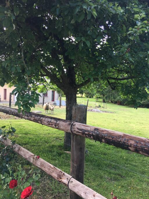 Gite De La Poupardiere, Maison De Campagne En Bordure De Riviere - 2 Nuits Minimum Villa Les Cresnays Kültér fotó
